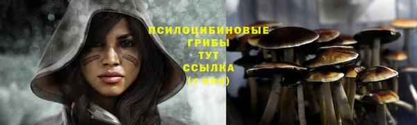 прущий лед Балахна